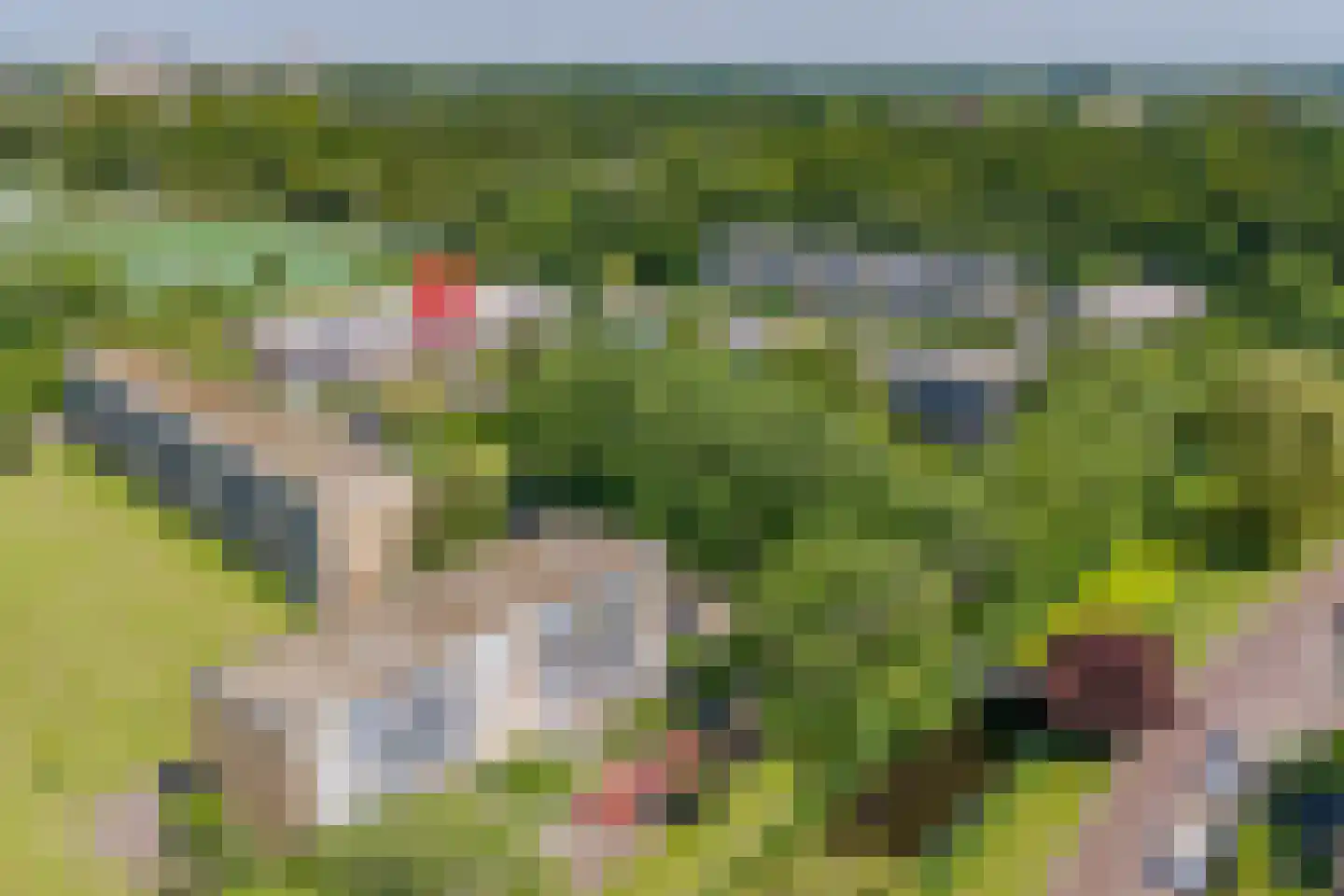 Paganinidreef 37 Voorschoten foto 2