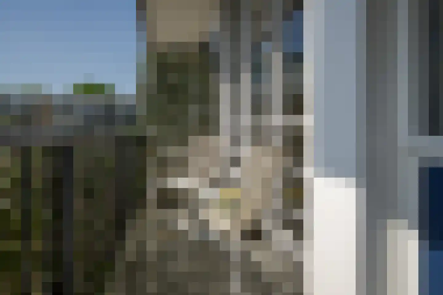 Paganinidreef 37 Voorschoten thumbnail 24