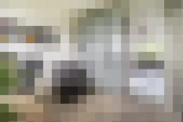 Paganinidreef 43 Voorschoten thumbnail 13
