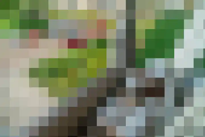 Paganinidreef 43 Voorschoten thumbnail 19