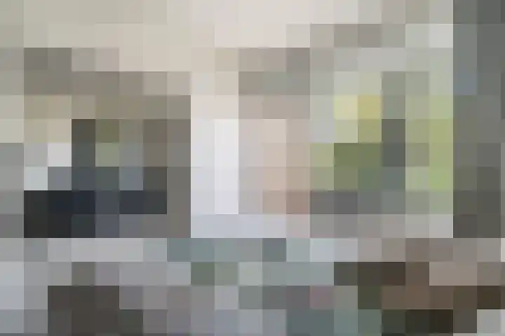 Paganinidreef 43 Voorschoten thumbnail 20