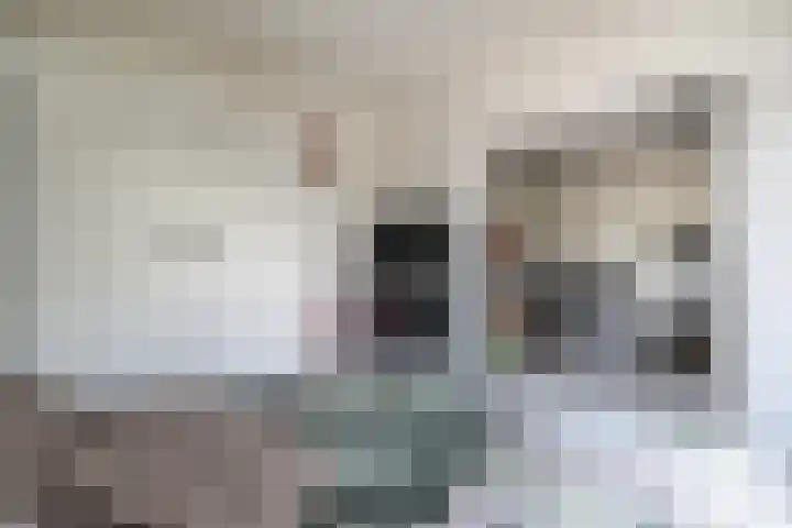 Paganinidreef 43 Voorschoten thumbnail 21