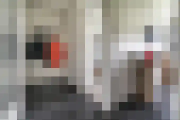 Paganinidreef 43 Voorschoten thumbnail 23