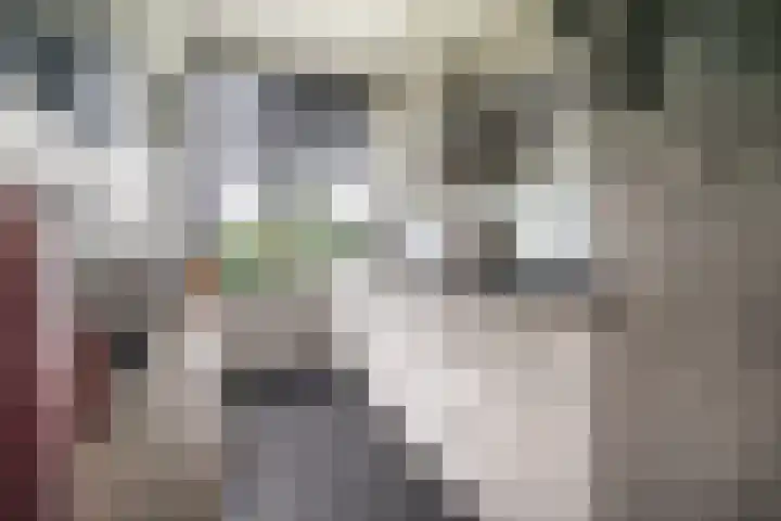 Paganinidreef 43 Voorschoten thumbnail 24