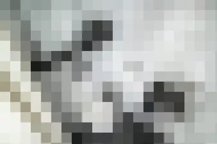 Paganinidreef 43 Voorschoten thumbnail 26