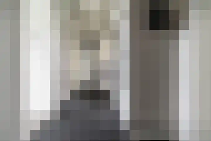 Paganinidreef 43 Voorschoten thumbnail 29