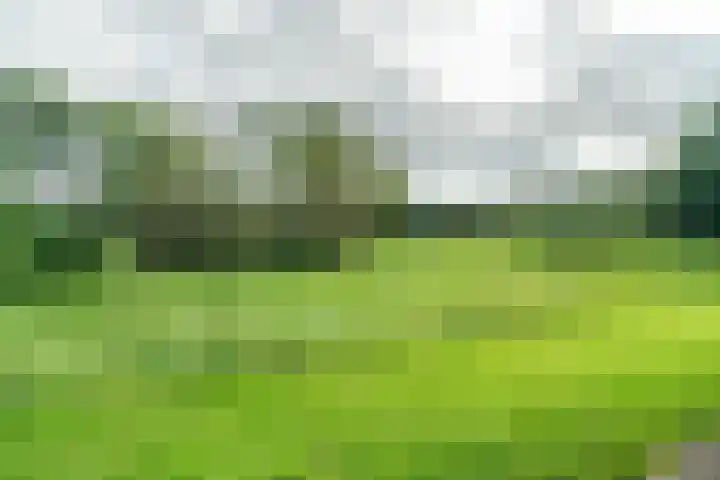 Paganinidreef 43 Voorschoten thumbnail 31
