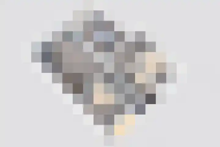 Paganinidreef 43 Voorschoten thumbnail 33