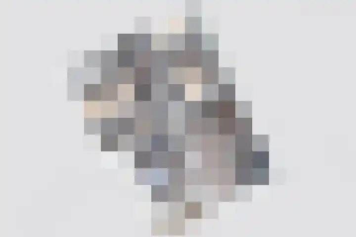 Paganinidreef 43 Voorschoten thumbnail 35