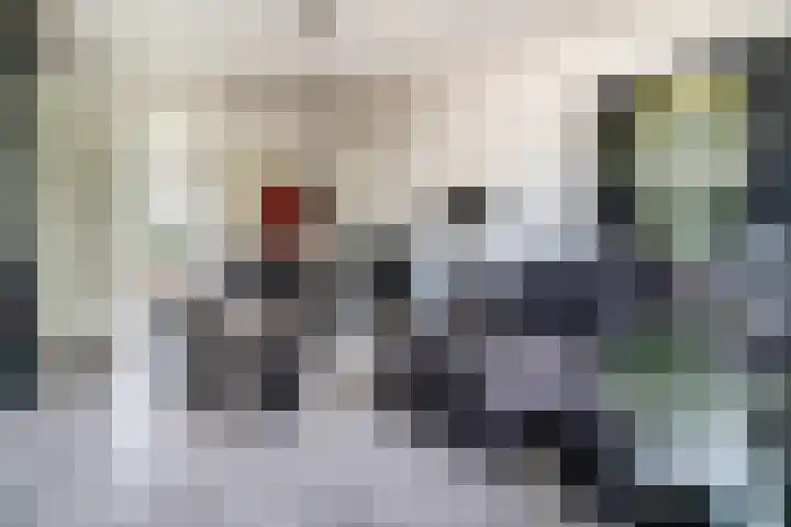 Paganinidreef 43 Voorschoten thumbnail 4