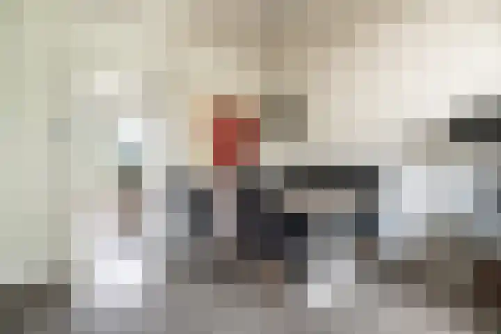 Paganinidreef 43 Voorschoten thumbnail 6