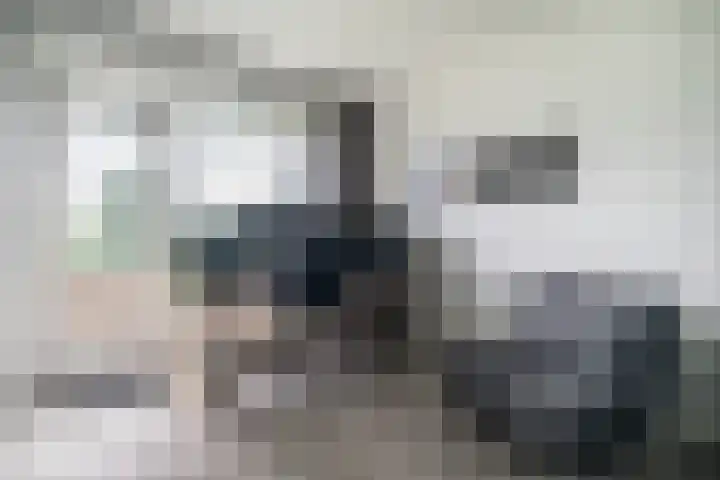 Paganinidreef 43 Voorschoten thumbnail 7