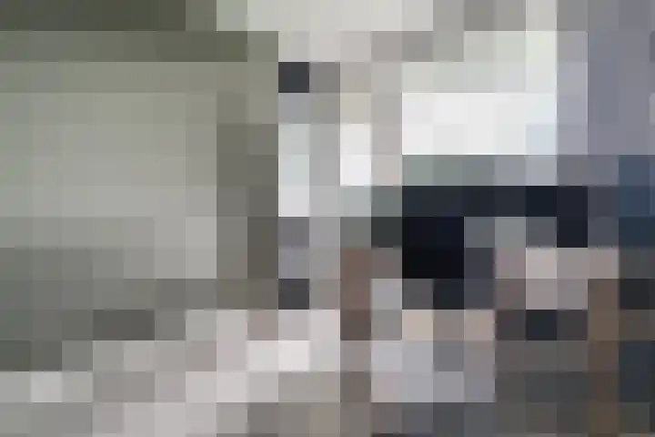 Paganinidreef 43 Voorschoten thumbnail 8