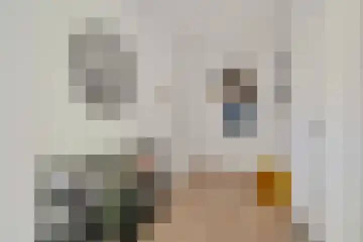 Paganinidreef 52 Voorschoten thumbnail 10