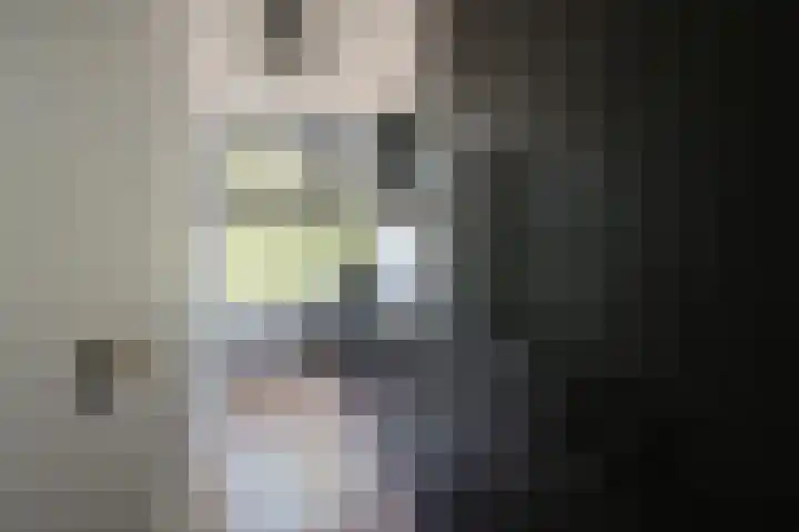 Paganinidreef 52 Voorschoten thumbnail 11
