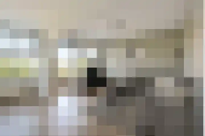Paganinidreef 52 Voorschoten thumbnail 15