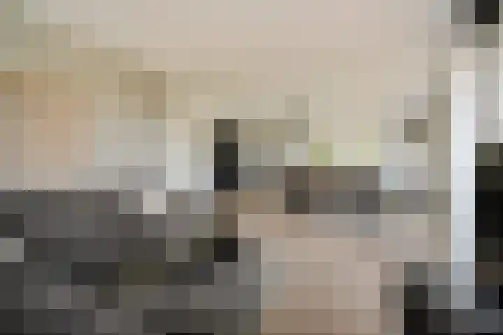 Paganinidreef 52 Voorschoten thumbnail 16