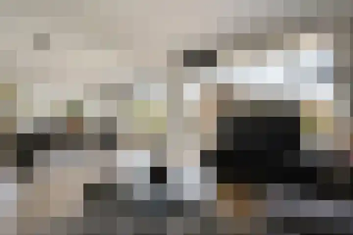 Paganinidreef 52 Voorschoten thumbnail 17