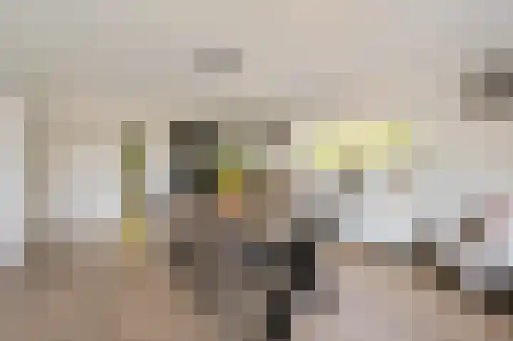 Paganinidreef 52 Voorschoten thumbnail 19