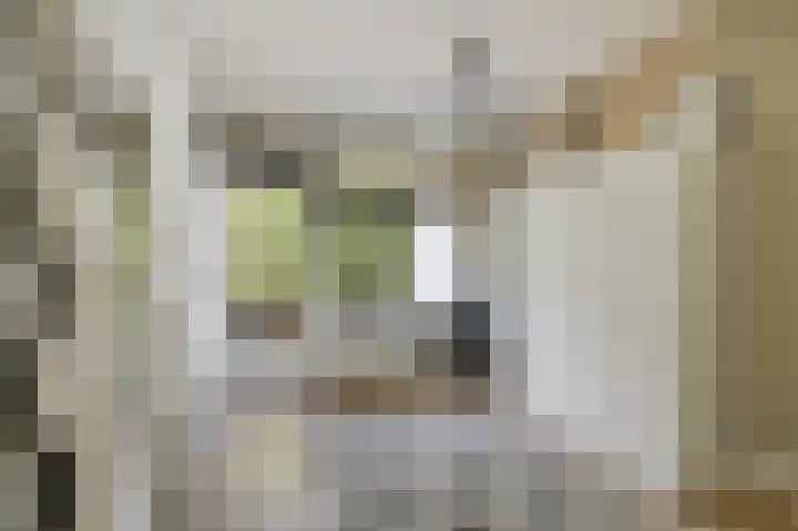 Paganinidreef 52 Voorschoten thumbnail 20