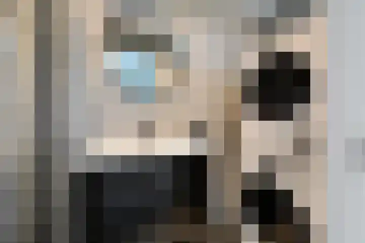 Paganinidreef 52 Voorschoten thumbnail 23
