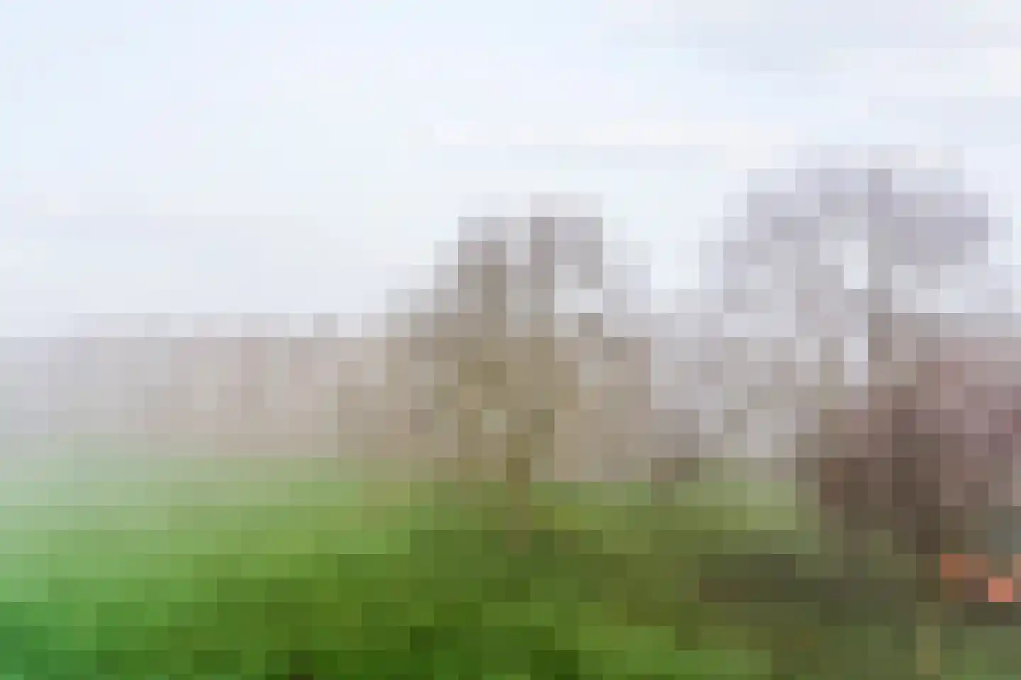 Paganinidreef 56 Voorschoten thumbnail 28