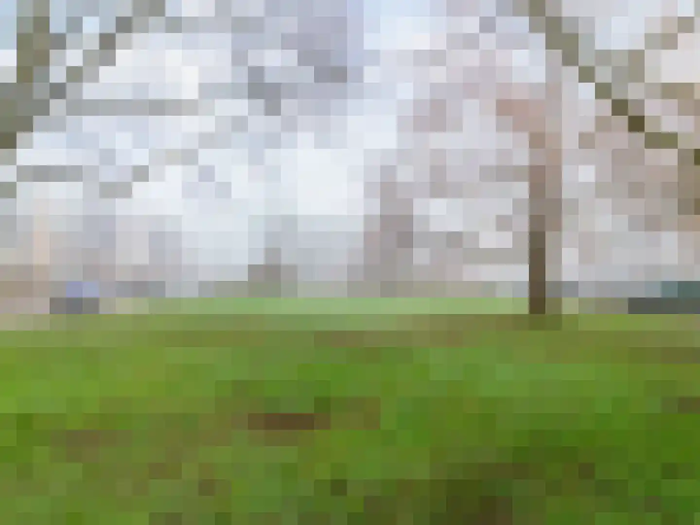 Paganinidreef 56 Voorschoten thumbnail 29