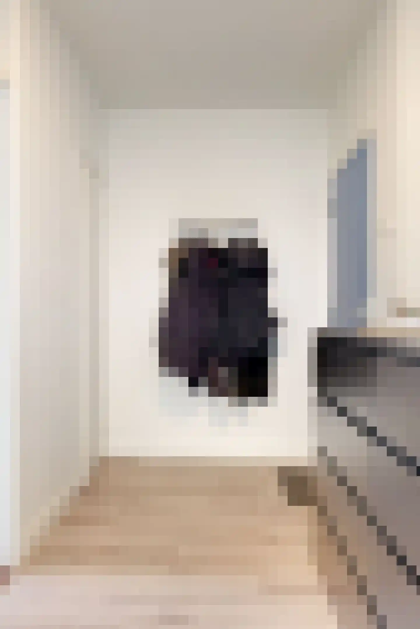 Paganinidreef 56 Voorschoten thumbnail 5