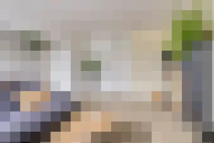 Paganinidreef 64 Voorschoten thumbnail 10