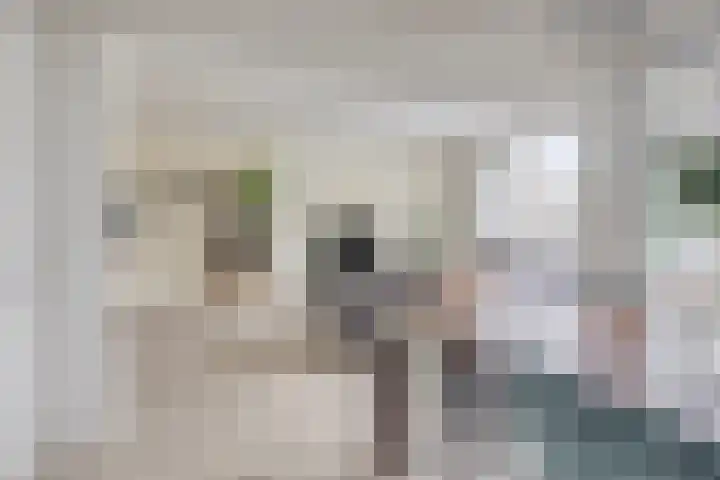 Paganinidreef 64 Voorschoten thumbnail 13