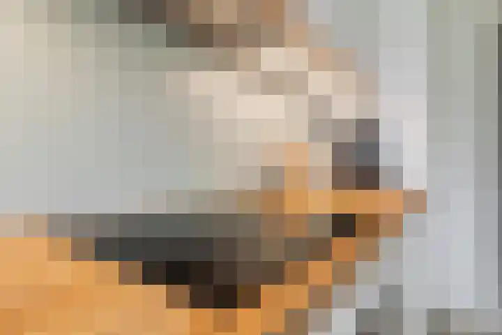 Paganinidreef 64 Voorschoten thumbnail 14