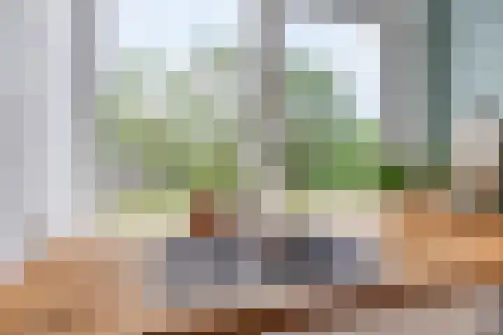 Paganinidreef 64 Voorschoten thumbnail 15