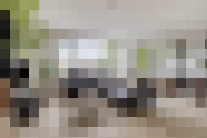 Paganinidreef 64 Voorschoten foto 2