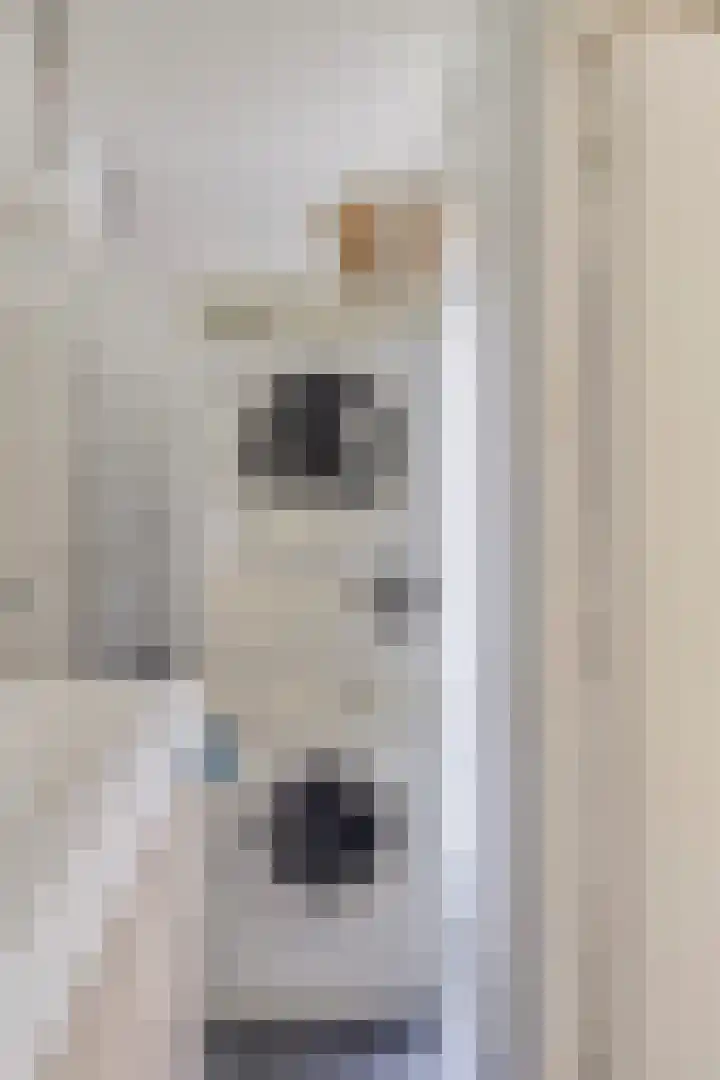 Paganinidreef 64 Voorschoten thumbnail 20