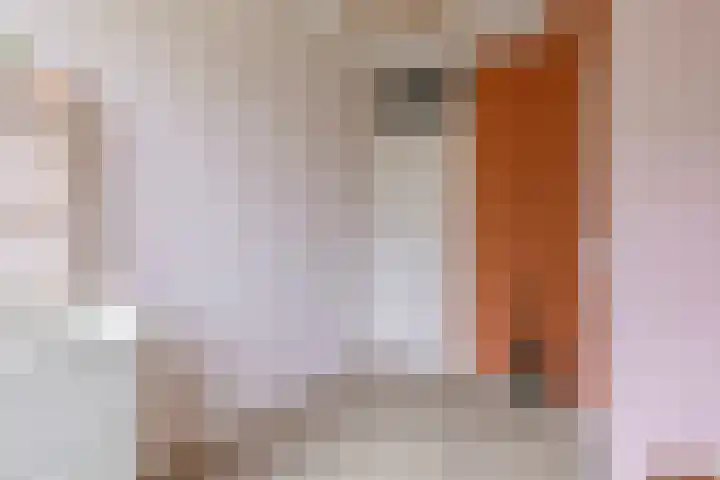 Paganinidreef 64 Voorschoten thumbnail 22