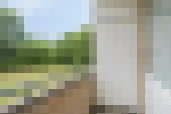 Paganinidreef 64 Voorschoten thumbnail 23