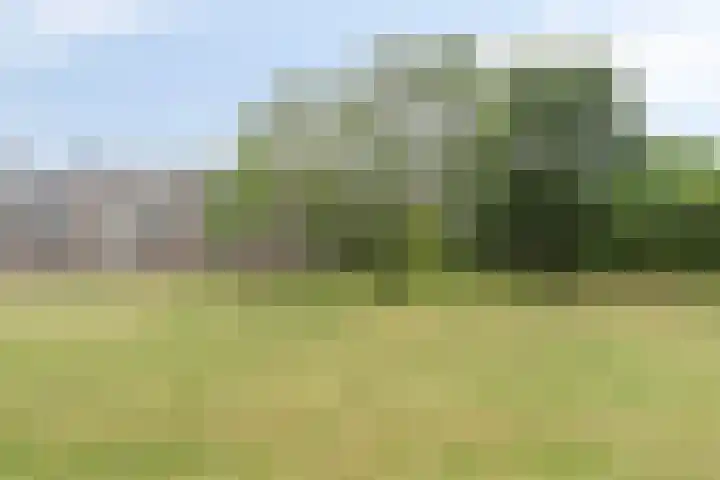 Paganinidreef 64 Voorschoten thumbnail 24