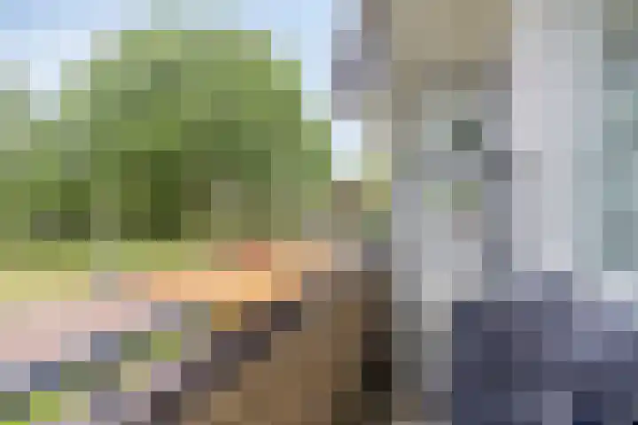 Paganinidreef 64 Voorschoten thumbnail 26