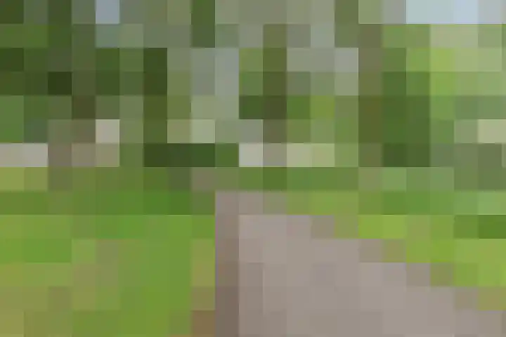 Paganinidreef 64 Voorschoten thumbnail 29