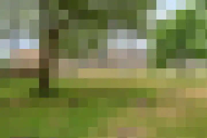 Paganinidreef 64 Voorschoten thumbnail 30