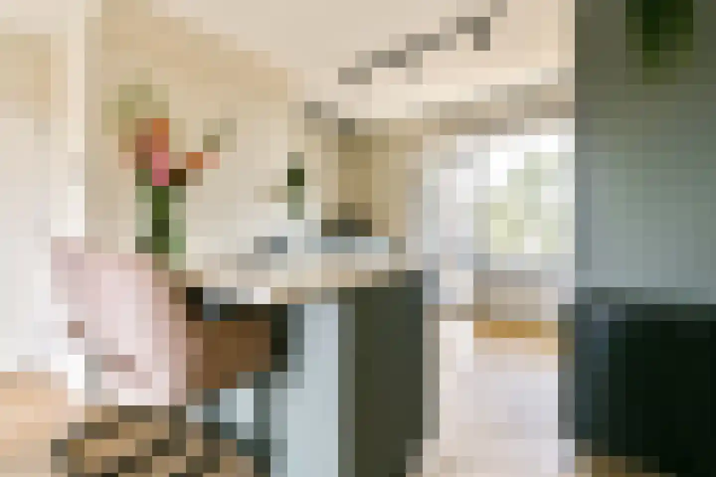 Paganinidreef 66 Voorschoten thumbnail 10