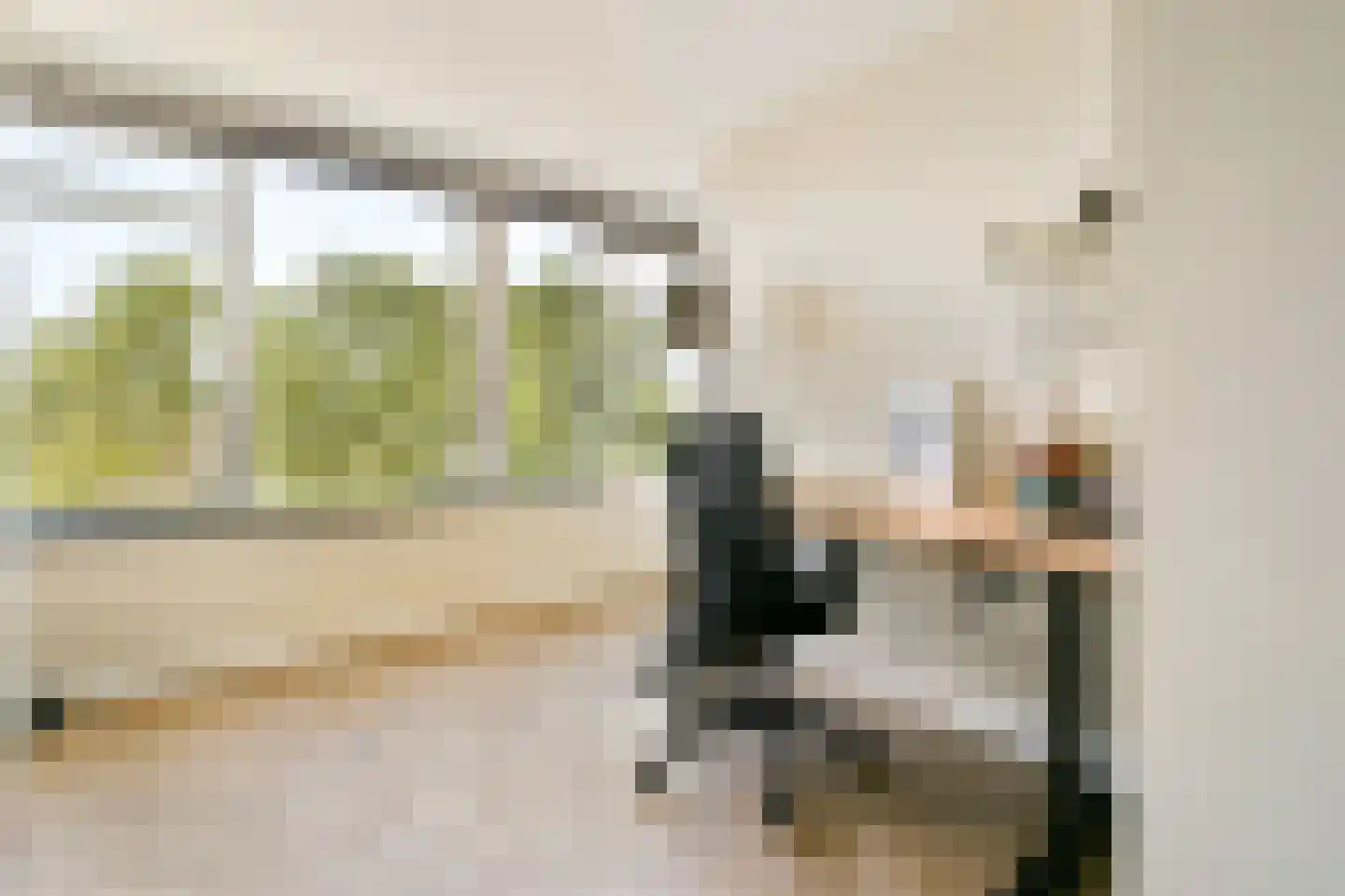 Paganinidreef 66 Voorschoten thumbnail 22