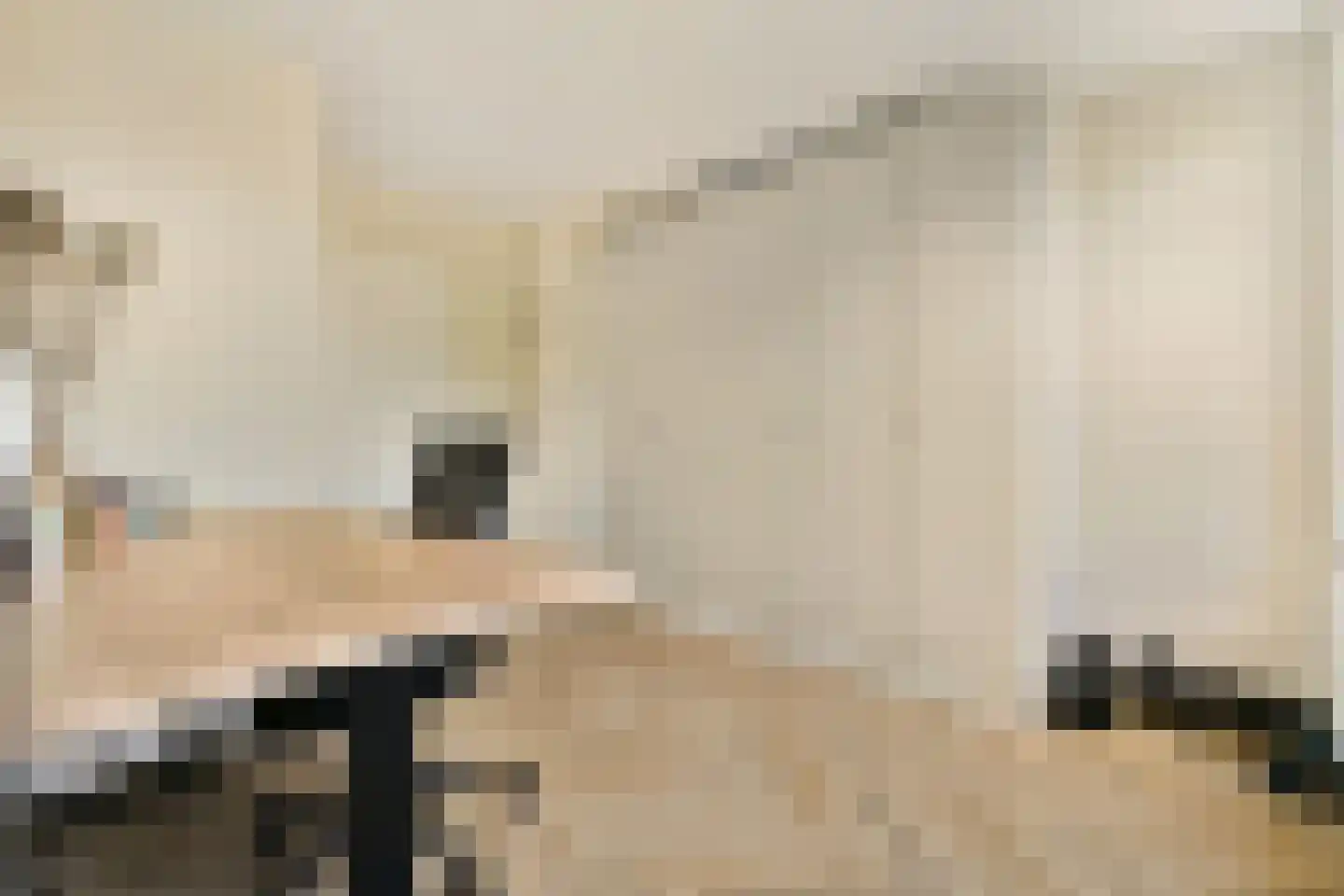 Paganinidreef 66 Voorschoten thumbnail 24
