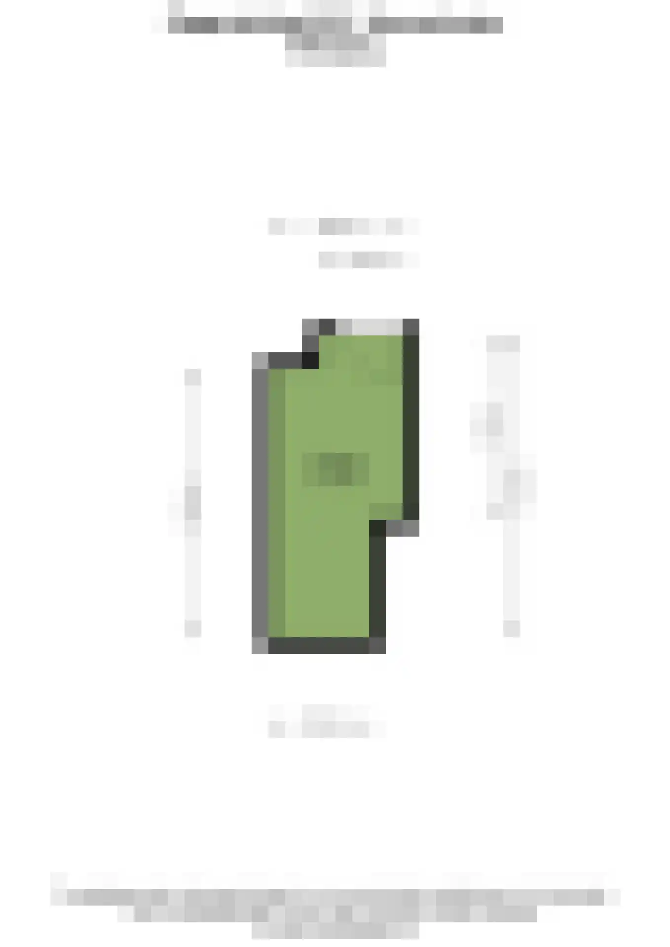 Paganinidreef 66 Voorschoten thumbnail 36