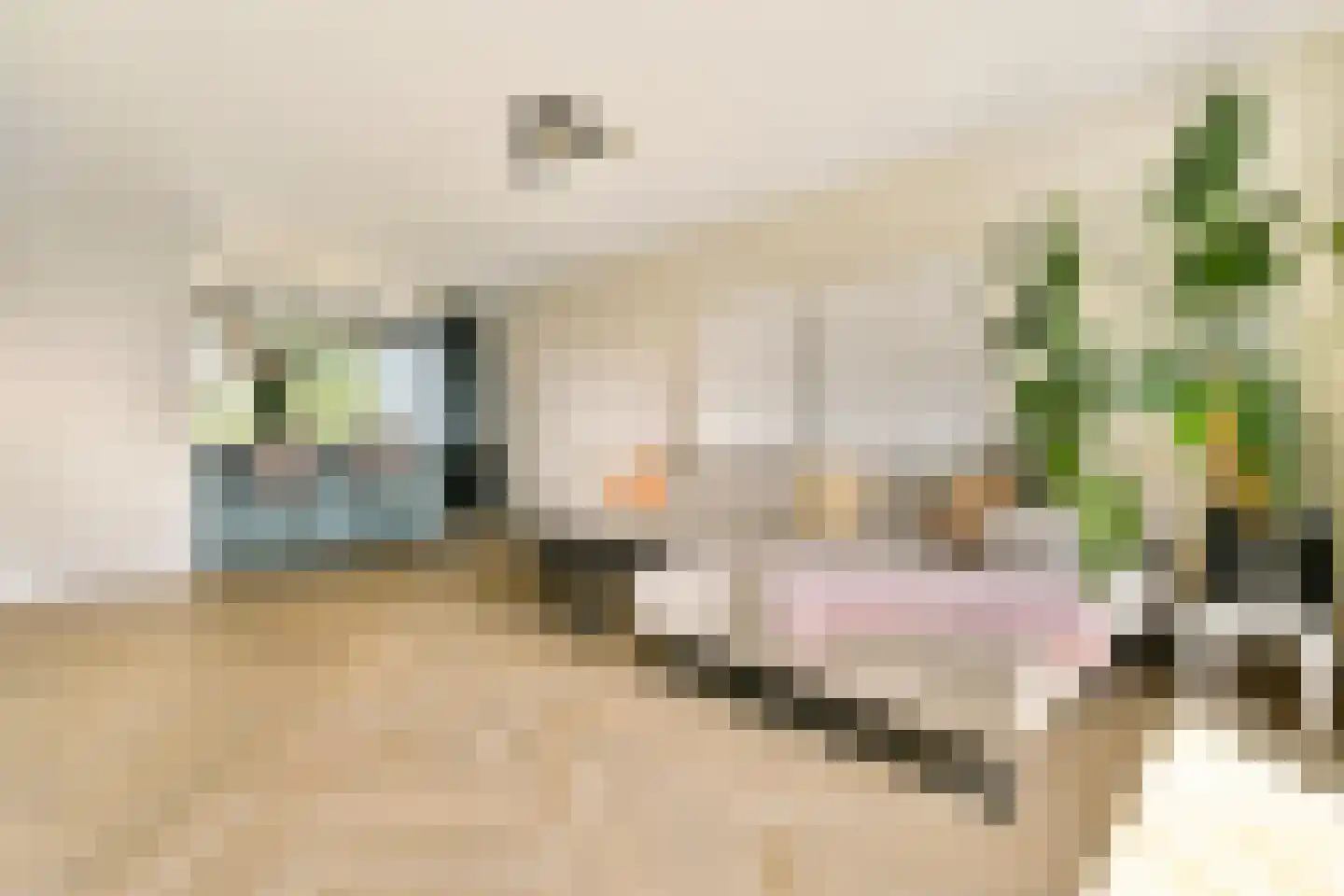 Paganinidreef 66 Voorschoten thumbnail 8
