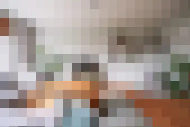 Paganinidreef 77 Voorschoten thumbnail 11