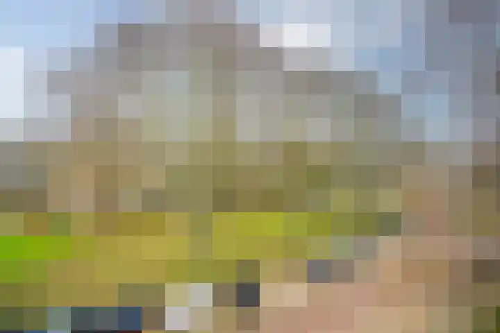 Paganinidreef 77 Voorschoten thumbnail 16