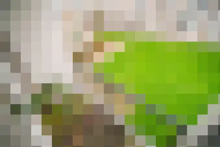 Paganinidreef 77 Voorschoten thumbnail 20