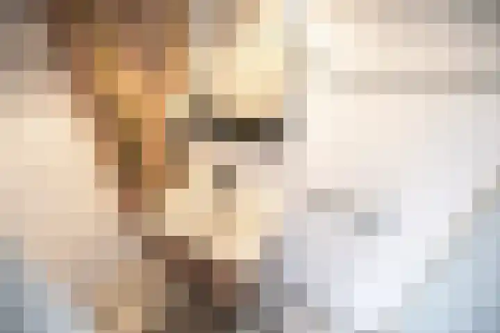 Paganinidreef 77 Voorschoten thumbnail 22