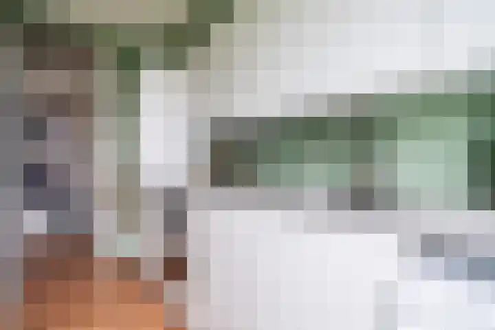 Paganinidreef 77 Voorschoten thumbnail 31